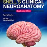 Snell's Clinical Neuroanatomy, South Asian ed Paperback – 1 September 2021
