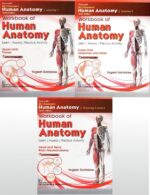 Bd Chaurasias Human Anatomy 10Ed 4 Vol Set (Pb 2025) - Image 3