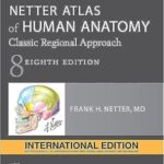 Netter Atlas of Human Anatomy: Classic Regional Approach, International Edition 08th Ed Paperback – 16 November 2021
