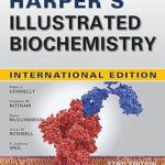 HARPER'S ILLUSTRATED BIOCHEMISTRY 32E Paperback – Import, 7 September 2022