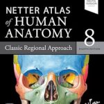 Netter Atlas of Human Anatomy: Classic Regional Approach: paperback + eBook (Netter Basic Science)