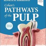 Cohen's Pathways of the Pulp (4 Book)
