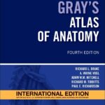 Gray's Atlas of Anatomy: International Edition