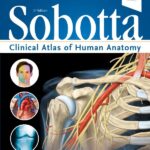 Sobotta Clinical Atlas of Human Anatomy, 1e Hardcover